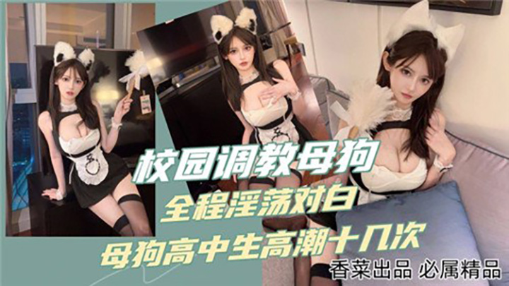 校园调教母狗,全程淫荡对白,母狗高中生高潮十几次